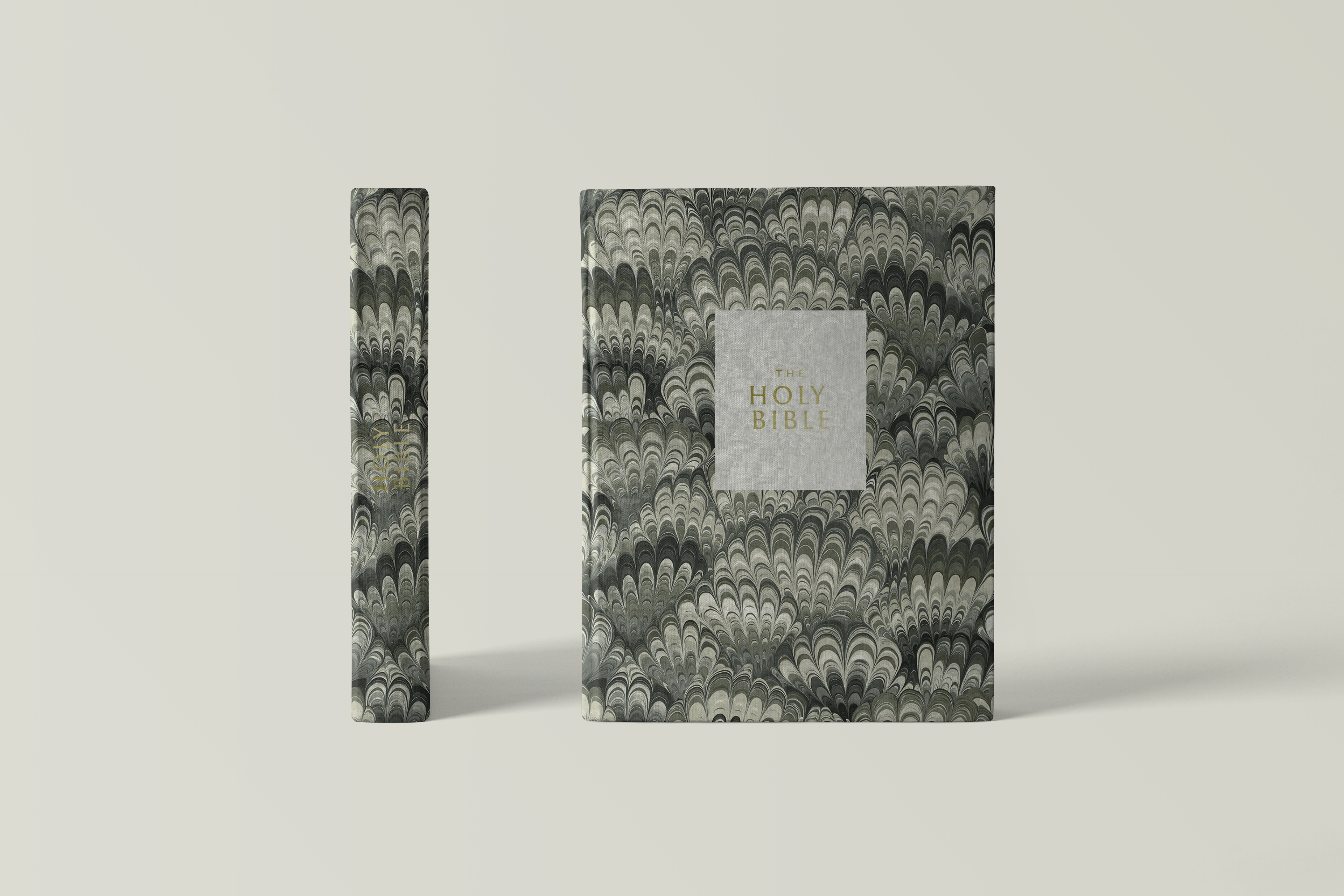 King James Holy Bible